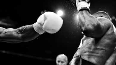 Photo of Top 40+ Famous Boxer Quotes