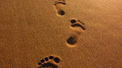 Photo of Footprints In The Sand Quotes