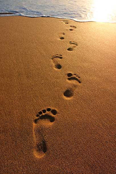 Top 30 Thought Provoking Footprints In The Sand Quotes