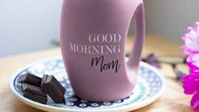 Photo of The 35+ Best and Loveliest Good Morning Mom Quotes