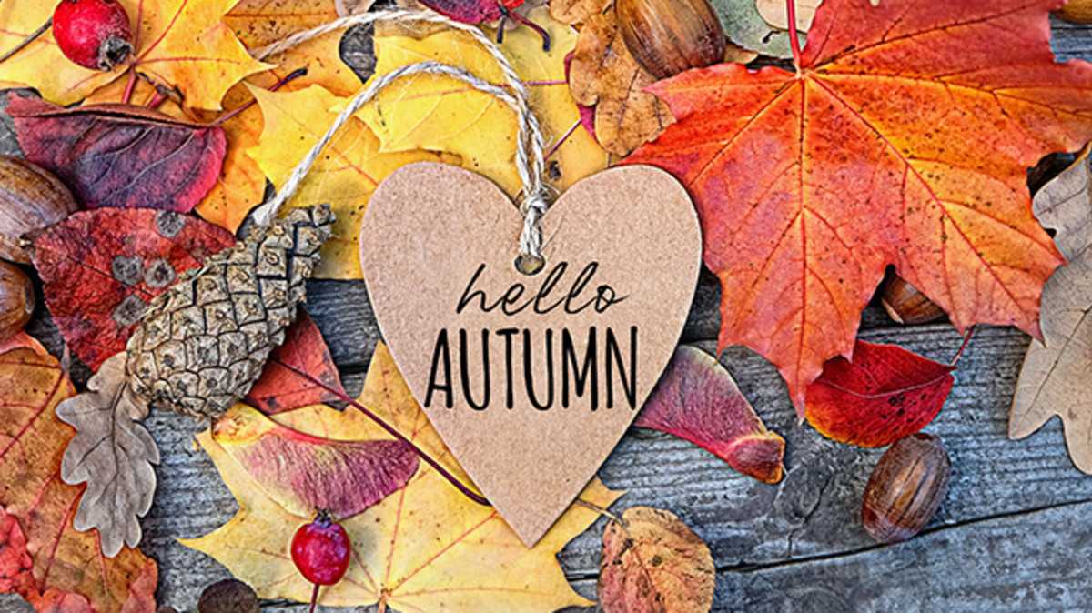 top-35-quotes-about-the-autumn-season