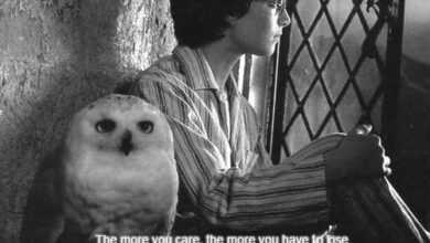 Photo of The Top 30+ Memorable Sad Harry Potter Quotes