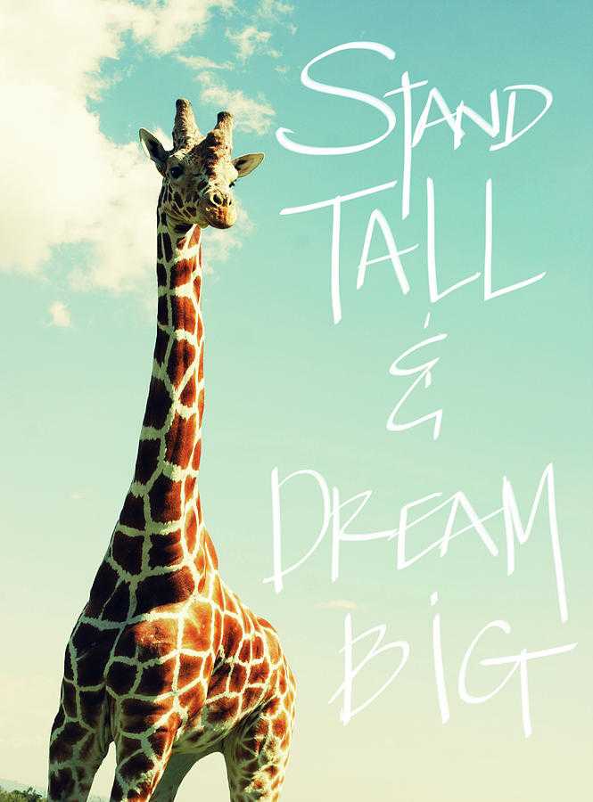 Stand Tall Quotes