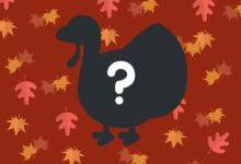 Photo of Top 30+ Thanksgiving Riddles
